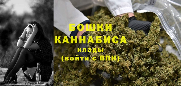ALPHA PVP Гвардейск