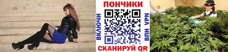 Бошки Шишки индика Зверево